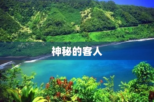 神秘的客人 神秘的客人
