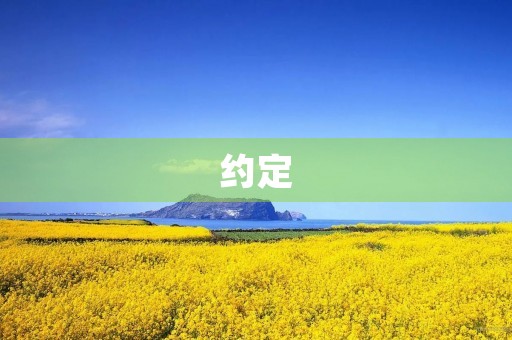 约定 约定
