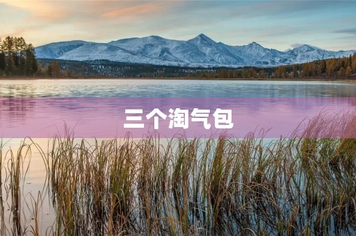 三个淘气包 三个淘气包