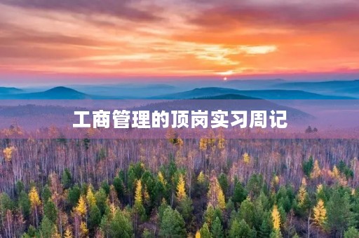 工商管理的顶岗实习周记 工商管理的顶岗实习周记