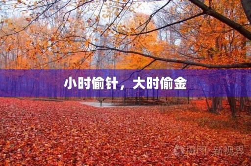 小时偷针,大时偷金 小时偷针,大时偷金