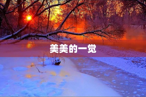 美美的一觉 美美的一觉