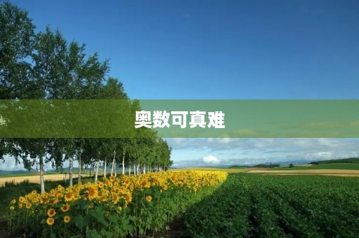 奥数可真难