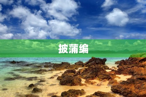 披蒲编 披蒲编