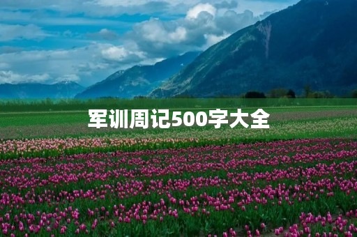 军训周记500字大全 军训周记500字大全