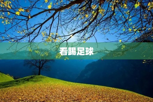 看踢足球
