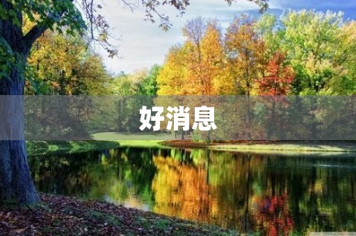 好消息 好消息