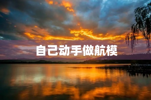 自己动手做航模 自己动手做航模