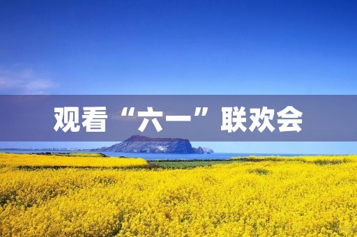 观看“六一”联欢会 观看“六一”联欢会