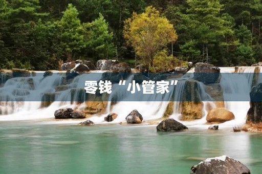 零钱“小管家” 零钱“小管家”