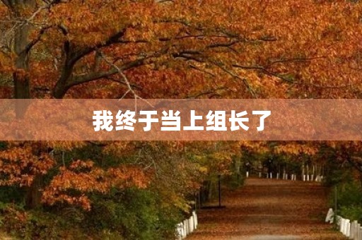 我终于当上组长了 我终于当上组长了