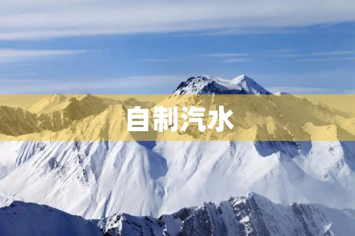 自制汽水 自制汽水