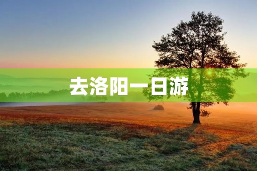 去洛阳一日游 去洛阳一日游