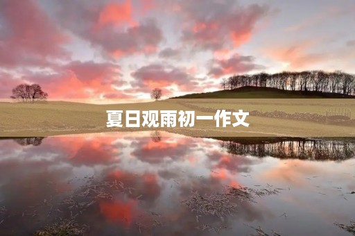 夏日观雨初一作文 夏日观雨初一作文