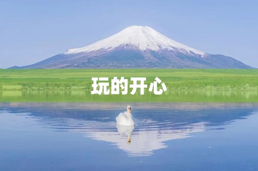 玩的开心 玩的开心