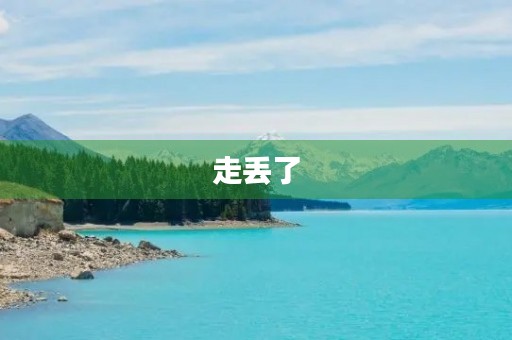 走丢了 走丢了