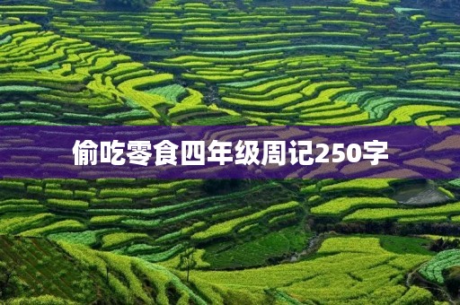 偷吃零食四年级周记250字 偷吃零食四年级周记250字