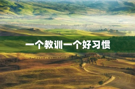 一个教训一个好习惯 一个教训一个好习惯