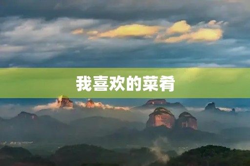 我喜欢的菜肴