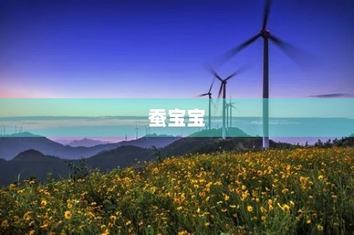 蚕宝宝