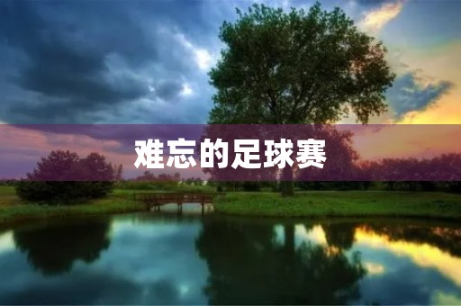 难忘的足球赛 难忘的足球赛