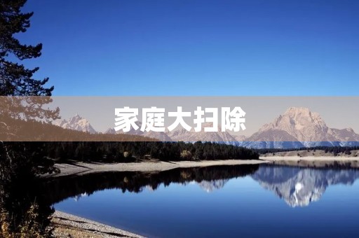 家庭大扫除 家庭大扫除