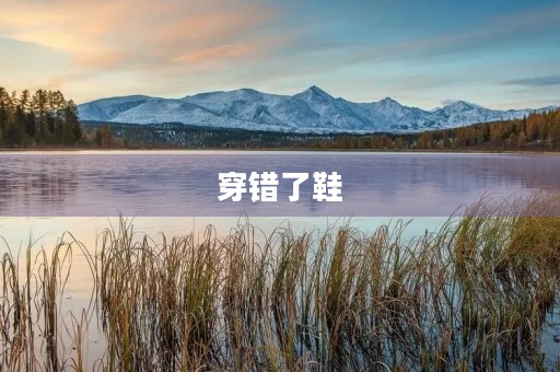 穿错了鞋 穿错了鞋