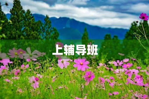上辅导班 上辅导班