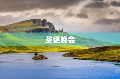 圣诞晚会 圣诞晚会
