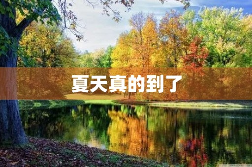夏天真的到了
