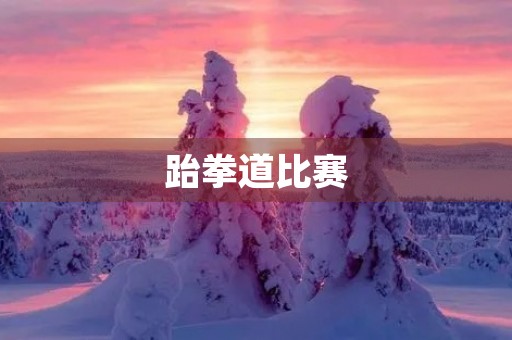 跆拳道比赛