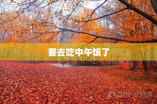 要去吃中午饭了 要去吃中午饭了