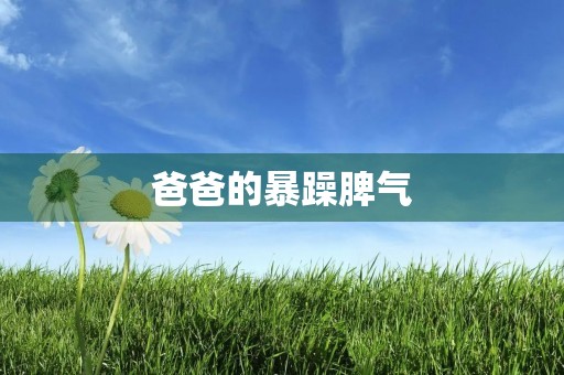 爸爸的暴躁脾气 爸爸的暴躁脾气
