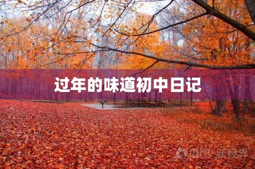 过年的味道初中日记