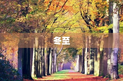 冬至 冬至