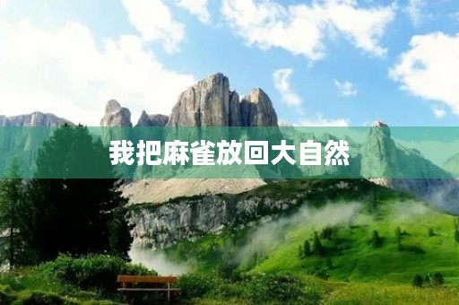 我把麻雀放回大自然 我把麻雀放回大自然
