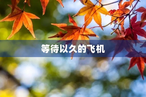 等待以久的飞机 等待以久的飞机
