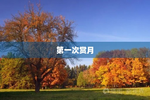 第一次赏月 第一次赏月