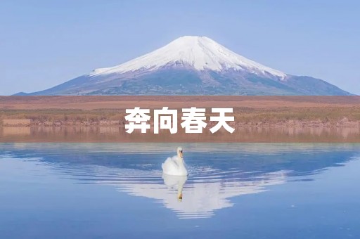 奔向春天 奔向春天