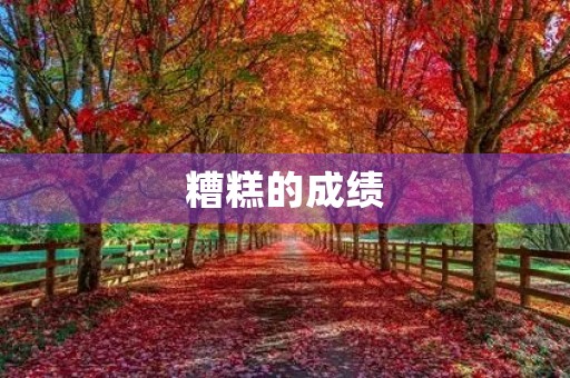 糟糕的成绩 糟糕的成绩
