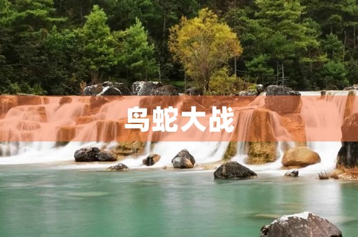 鸟蛇大战 鸟蛇大战