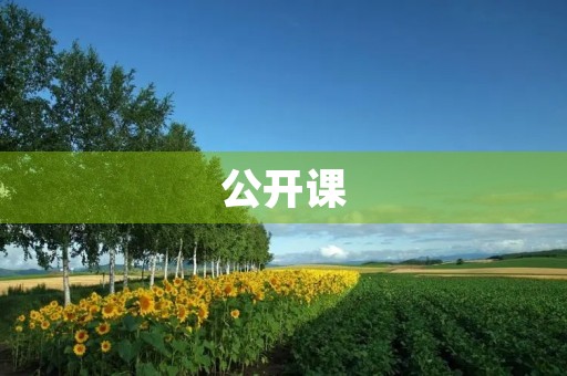 公开课 公开课