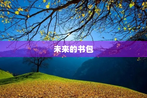 未来的书包 未来的书包
