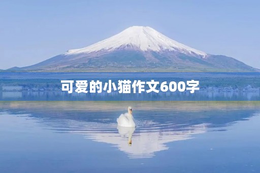 可爱的小猫作文600字