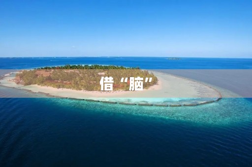 借“脑” 借“脑”