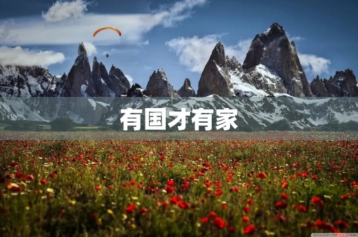 有国才有家 有国才有家