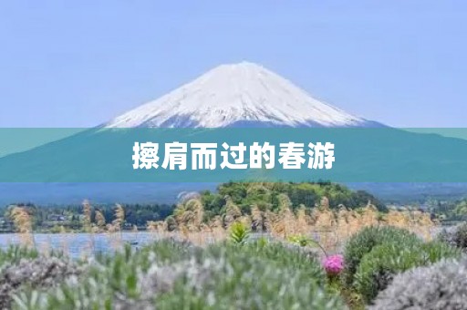 擦肩而过的春游