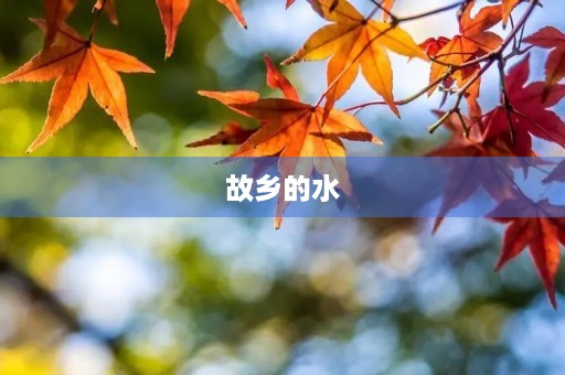 故乡的水 故乡的水