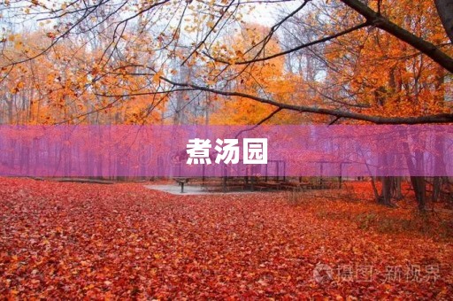 煮汤园 煮汤园