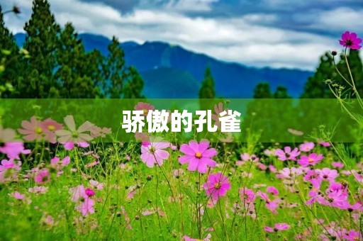 骄傲的孔雀 骄傲的孔雀